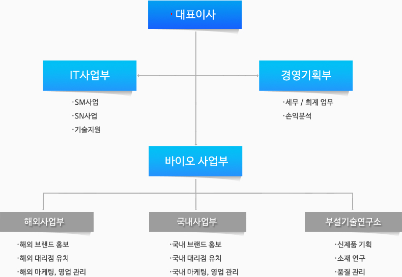 조직도 